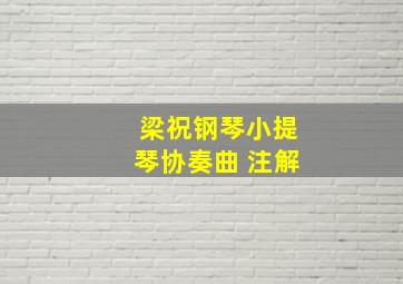 梁祝钢琴小提琴协奏曲 注解